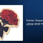 250+ Best Premer Shayari Bangla| প্রেমের বাংলা শায়রি